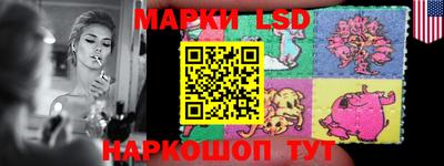 гидра Будённовск