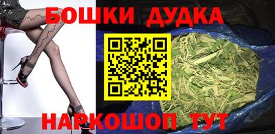 гидра Будённовск