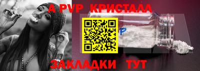 гидра Будённовск