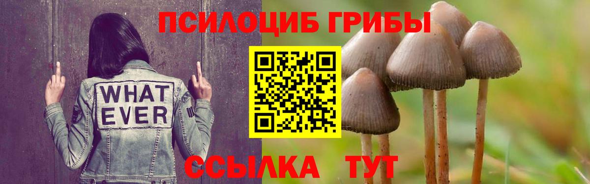 Мариинск  Псилоцибиновые грибы прущие грибы  Вход с VPN 