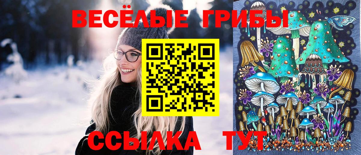 Псилоцибиновые грибы Cubensis Мариинск